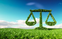 Update to the Environmental Code – Testo Unico Ambientale